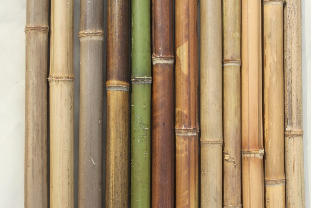 Trattamenti del bambù - Bambuseto